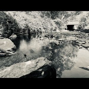 Meet your Posher, Tanya